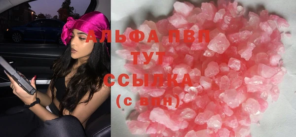 крисы Алзамай