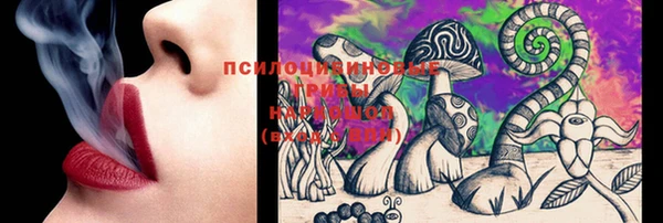 крисы Алзамай