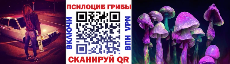 Купить где  Тимашёвск  Галлюциногенные грибы GOLDEN TEACHER 